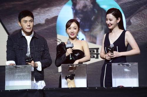 娱乐圈吃瓜爆料一更到底  第3张