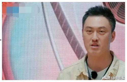 娱乐圈吃瓜爆料水印,揭秘明星幕后故事，水印见证真相！