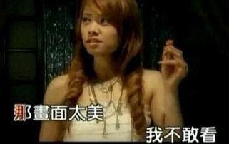 国产黄毛片,揭秘我国影视产业的独特魅力与挑战  第3张